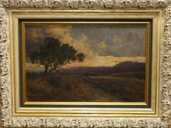 Hillside At Evening - view 1