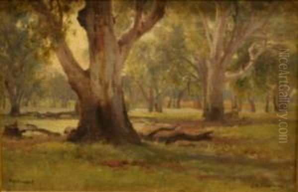 Tocumwal - view 1