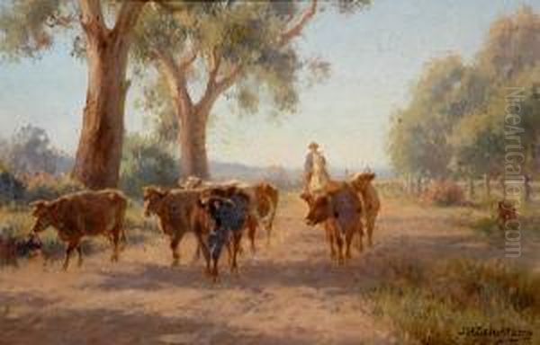 Cattle On The Road - view 1