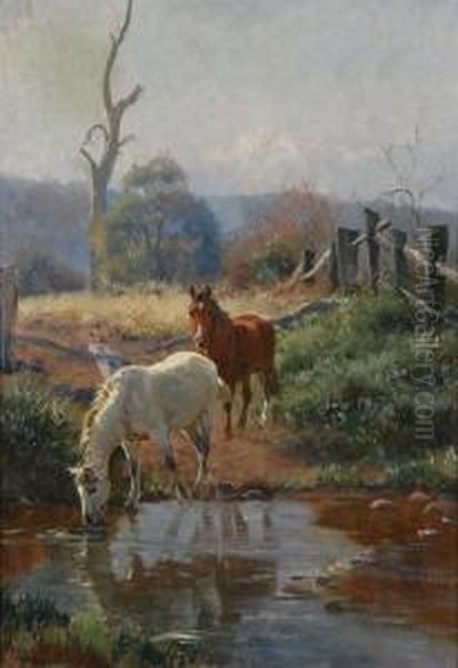 Horses Watering - view 1