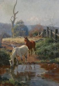 Horses Watering by Jan Hendrik Scheltema