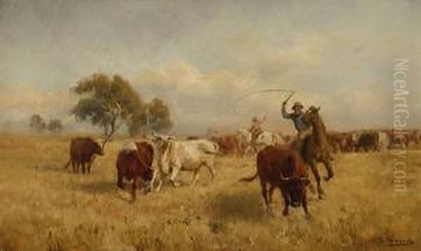 Mustering Cattle - view 1