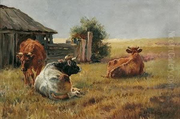 Cattle Resting - view 1