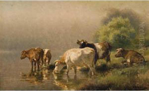 Cattle Resting By Water - view 1