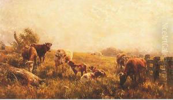 Cattle Grazing - view 1