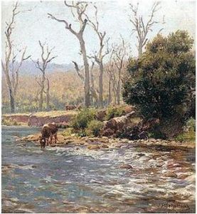 On The Banks Of The River Mitta Mitta, Victoria by Jan Hendrik Scheltema