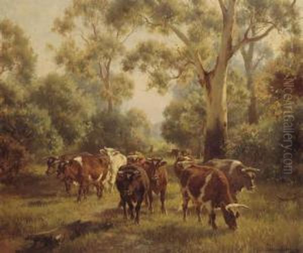 Cows - view 1