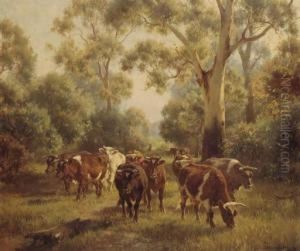 Cows Cows