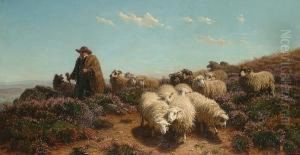 A Shepherd And His Flock Amongst Heather. by August Friedrich Schenck
