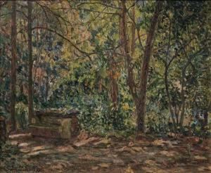 Parque by Dolcey Schenone Puig