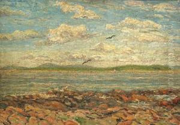 Costa Rocosa - view 1