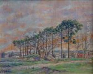 Paisaje De Melo