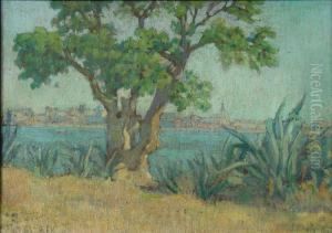 Ombu Y Bahia by Dolcey Schenone Puig