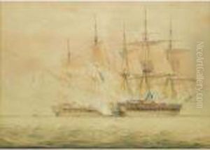 Shipping Studies Shipping Studies
