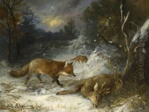 Fuchse Bei Einem Erlegten Rehbock Im Winterwald
