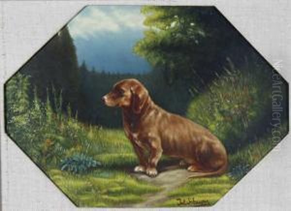 Sitzender Dackel In Waldlandschaft - view 1
