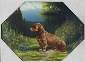 Sitzender Dackel In Waldlandschaft
