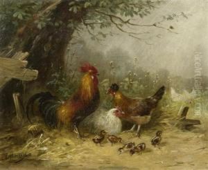 Family Of Hens Under A Tree Family Of Hens Under A Tree