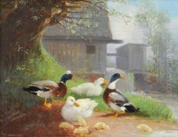 Enten Am Bachufer - view 1
