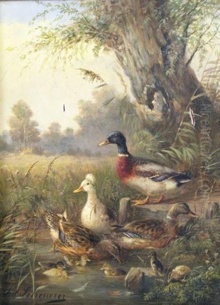 Ducks And Ducklings On Apond - view 1