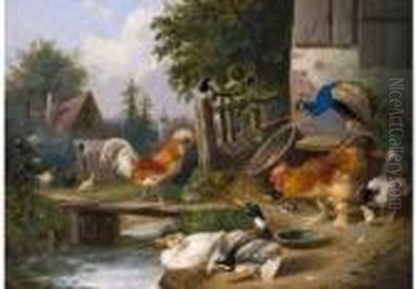 Huhnerhof Mit Pfau Und Enten - view 1