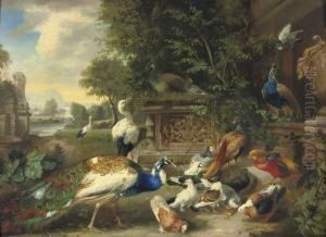 A Feathered Feast