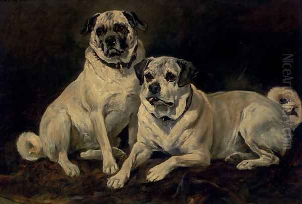 Pugs - view 1