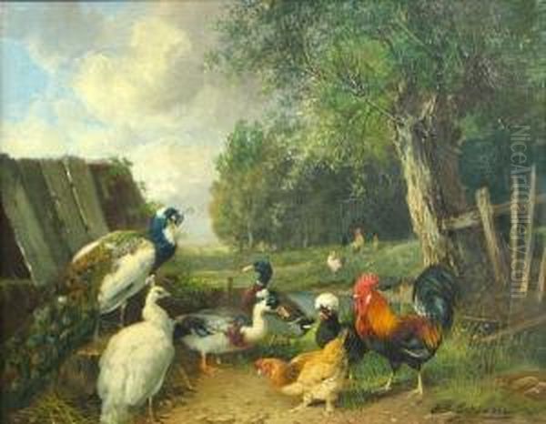 Peacocks, Ducks And Chickens Near A Pond - view 1