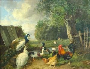 Peacocks, Ducks And Chickens Near A Pond