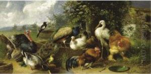 Farmyard Birds by Julius Scheurer