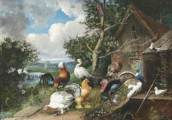 Prachtiges Federvieh Und Ein Storch Auf Einem Bauernhof. - view 1