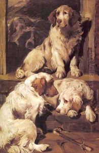 Clumber Spaniels Clumber Spaniels
