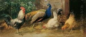 Der Pfau Auf Dem Huhnerhof. by Julius Scheurer