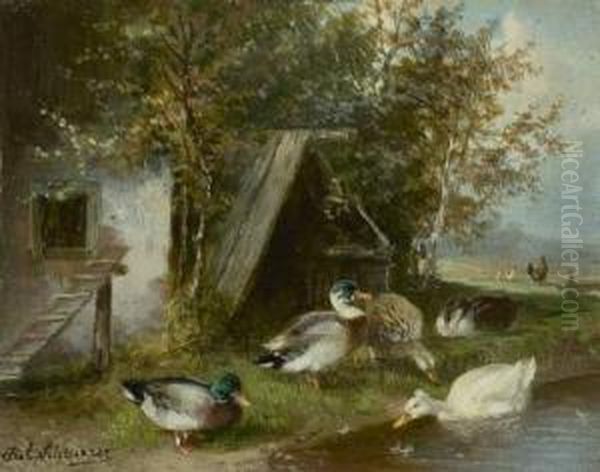 Enten - view 1