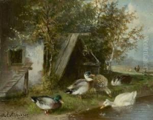 Enten Enten