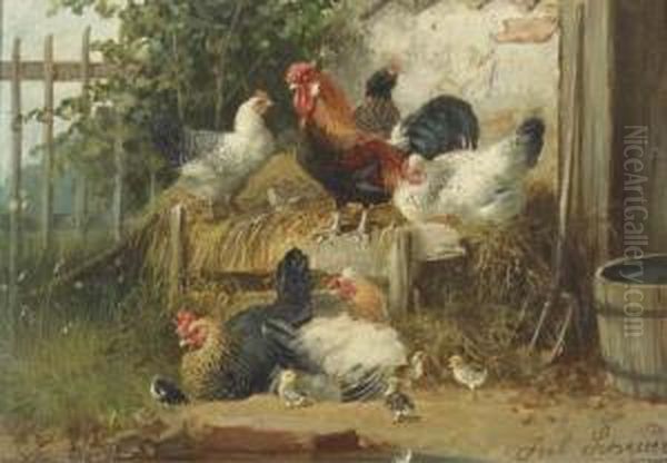 Poultry In A Farmyard - view 1