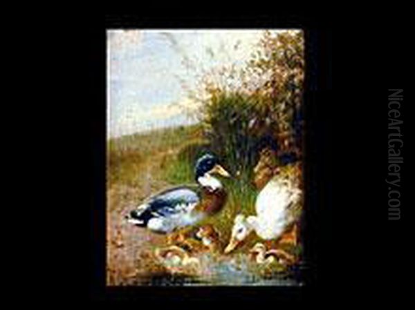 Entenfamilie Am Wasser - view 1