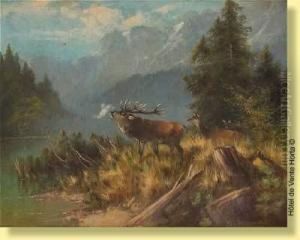 Cerf Bramant by Otto Scheuerer