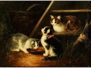 Drei Katzen Im Heustadel An Einer Leiter
