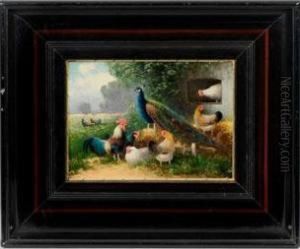 Huhnergruppe Mit Pfauhahn by Otto Scheuerer