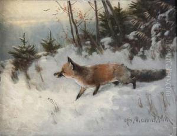 Fuchs Im Winterwald - view 1