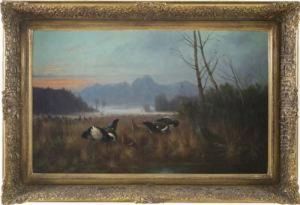 Voralpenlandschaft - Moor Mit Birkhahnen - Und Hennen
