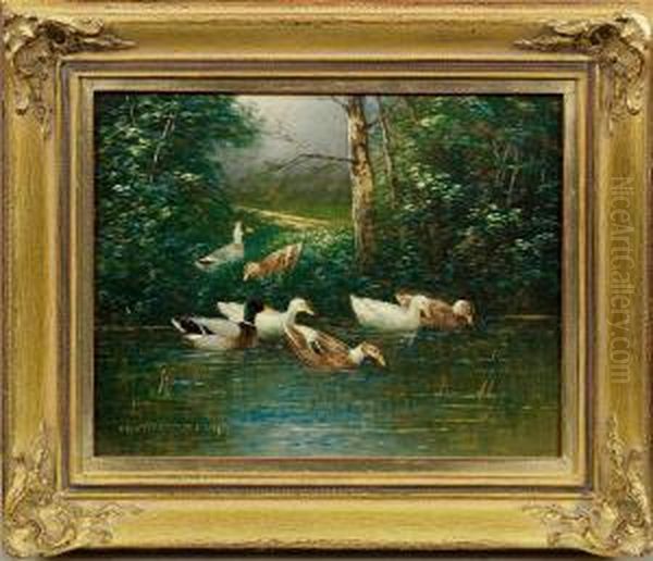 Enten Amteichufer - view 1