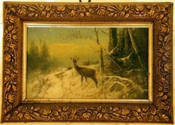 Ein Rehbock Im Verschneiten Winterwald - view 1