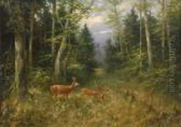Waldlichtung Mit Rehwild. - view 1