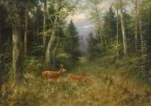 Waldlichtung Mit Rehwild.