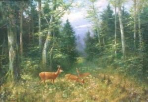 Rehe Auf Einer Waldlichtung