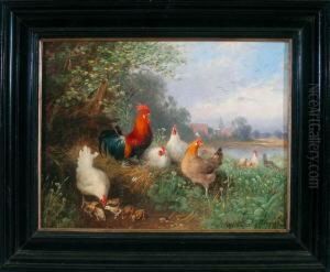 Huhner Auf Einer Bluhendenwiese Am Waldrand Vor Einem Teich Am Dorfrand by Otto Scheuerer