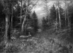 "rehe Auf Einer Waldlichtung". 
Sign. Und Bez. Munchen. Ol Auf Lwd. Rest. 50,5 X 70 Cm. Rahmen
