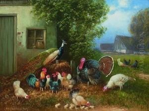 Truthahn, Pfau, Hahn, Huhner Und
 Kuken